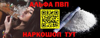 СК Новозыбков
