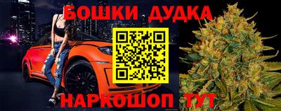 СК Новозыбков