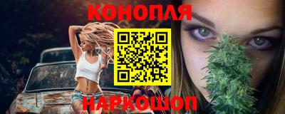 СК Новозыбков