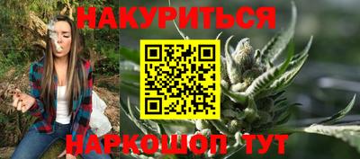 СК Новозыбков