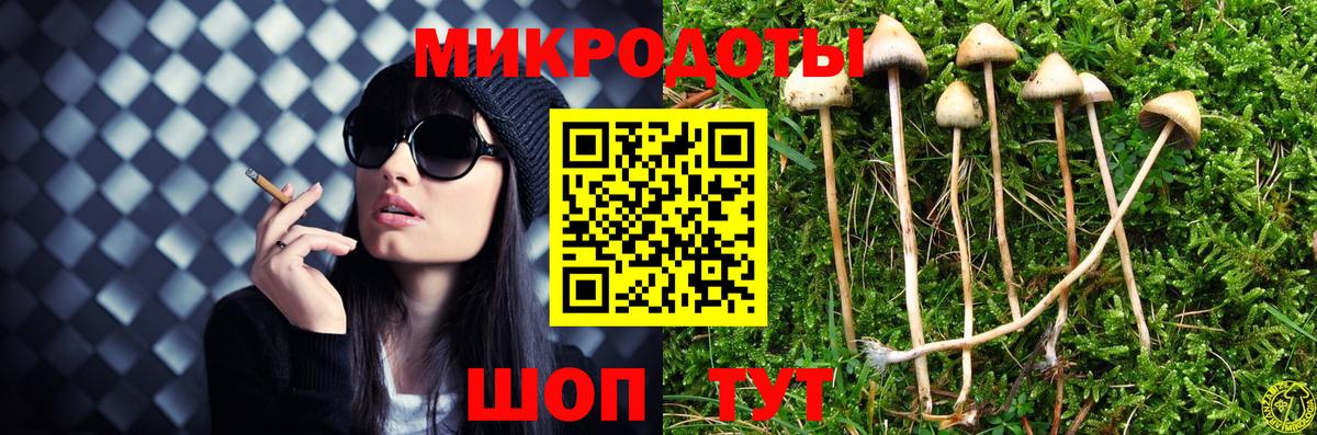 Псилоцибиновые грибы прущие грибы Удомля